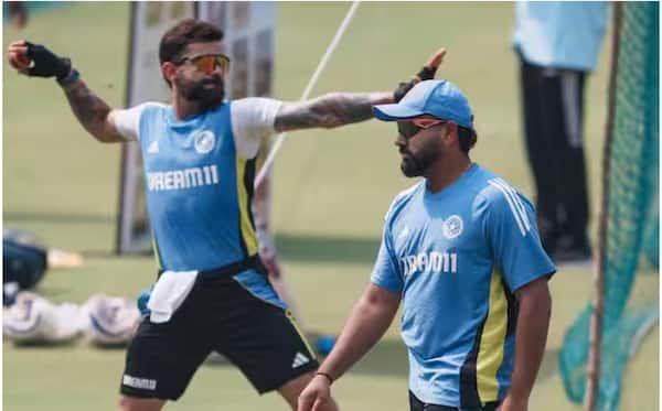 David Warner Questions Virat Kohli, Rohit Sharma's Form Ahead Of BGT 2024-25